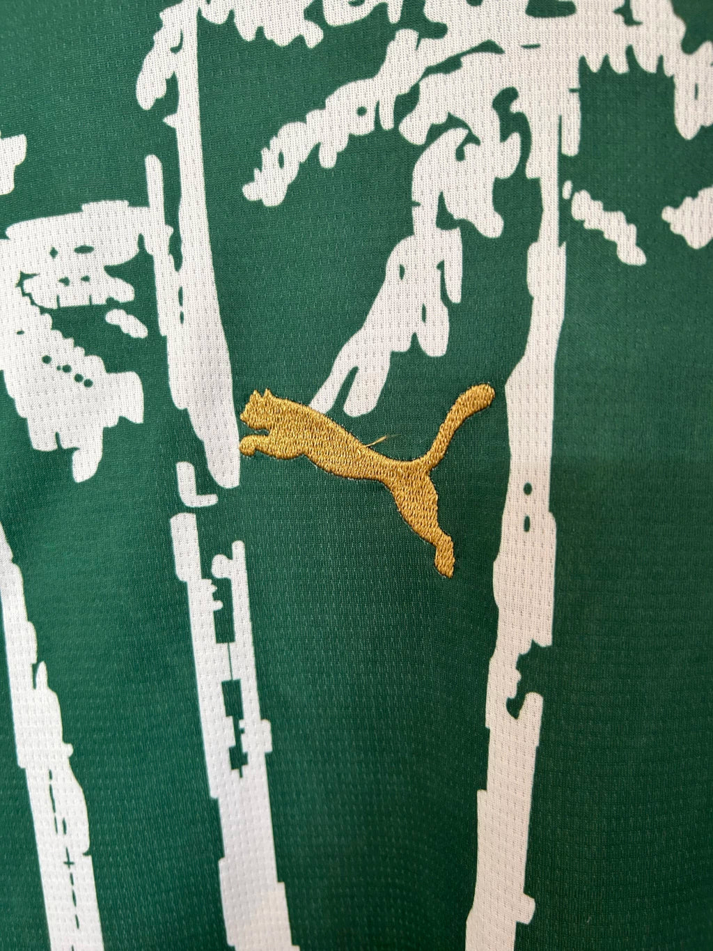 Playera Palmeiras Local 2026, Puma, Brasil